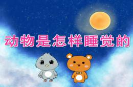 大班科學動物是怎樣睡覺的PPT課件
