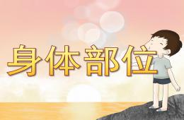 大班健康身體部位PPT課件