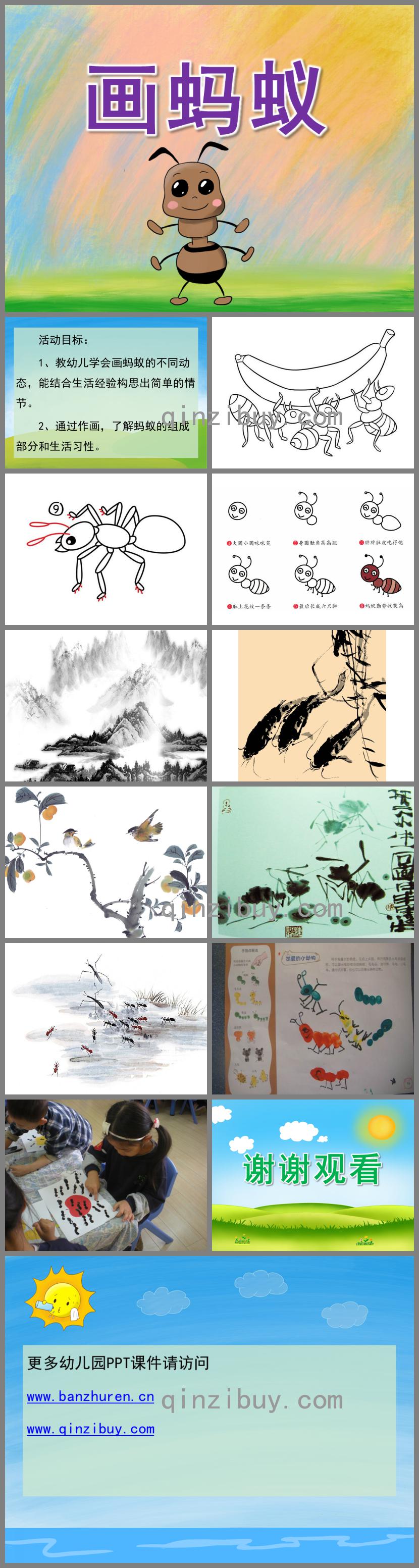 中班美術畫螞蟻PPT課件