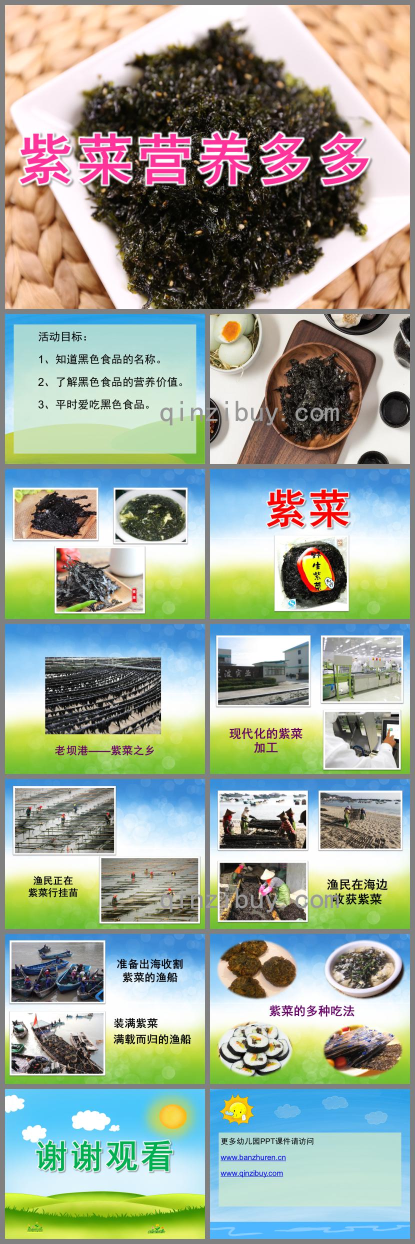 大班健康紫菜營養多多PPT課件