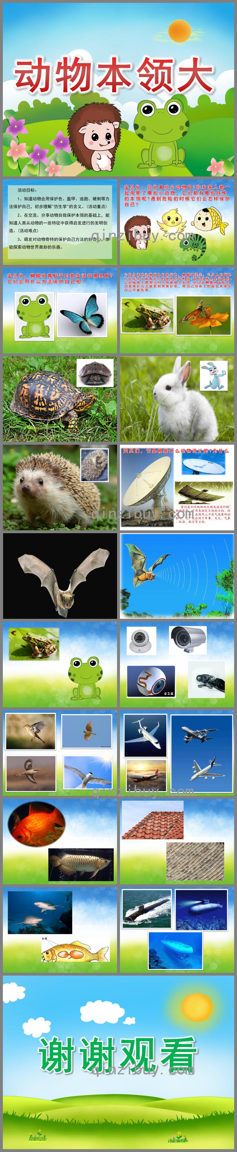 大班科學動物本領大PPT課件