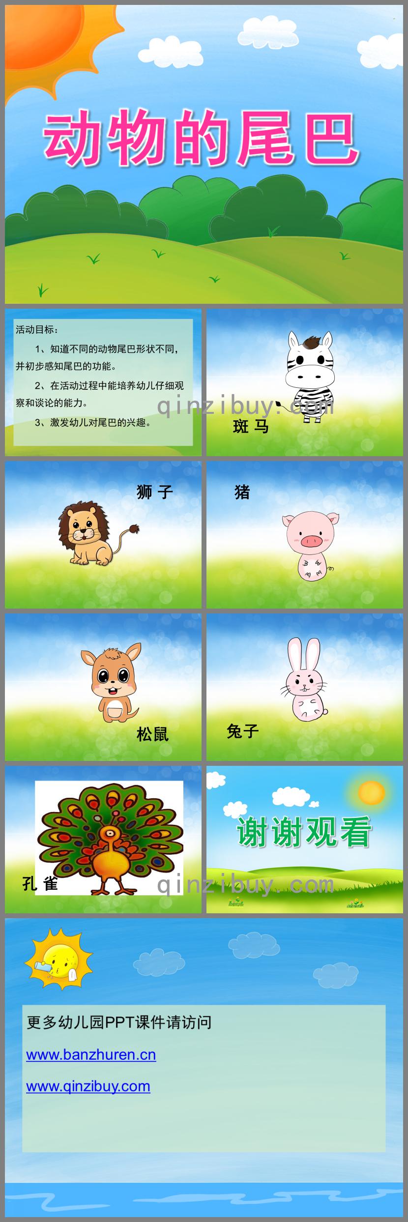 小班科學動物的尾巴PPT課件