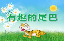 中班科學(xué)有趣的尾巴PPT課件視頻