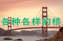 大班科學各種各樣的橋PPT課件