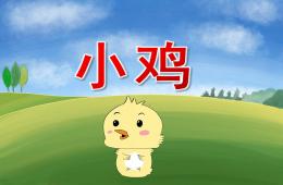 小班科學小雞PPT課件