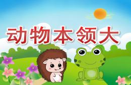 大班科學動物本領大PPT課件