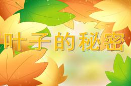 小班科學葉子的秘密PPT課件音樂
