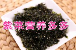 大班健康紫菜營養多多PPT課件