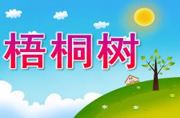 小班科學梧桐樹PPT課件