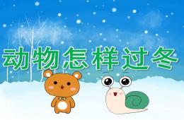 大班科學動物怎樣過冬PPT課件
