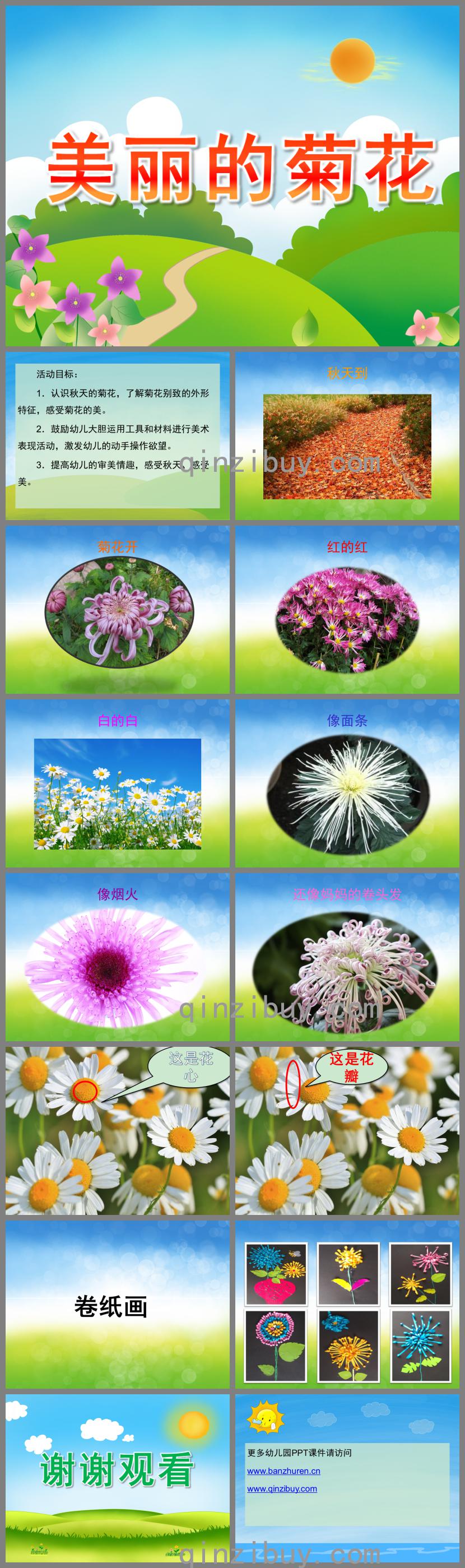小班科學(xué)美麗的菊花PPT課件