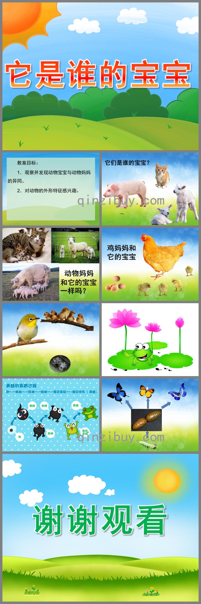 小班科學(xué)它是誰(shuí)的寶寶PPT課件