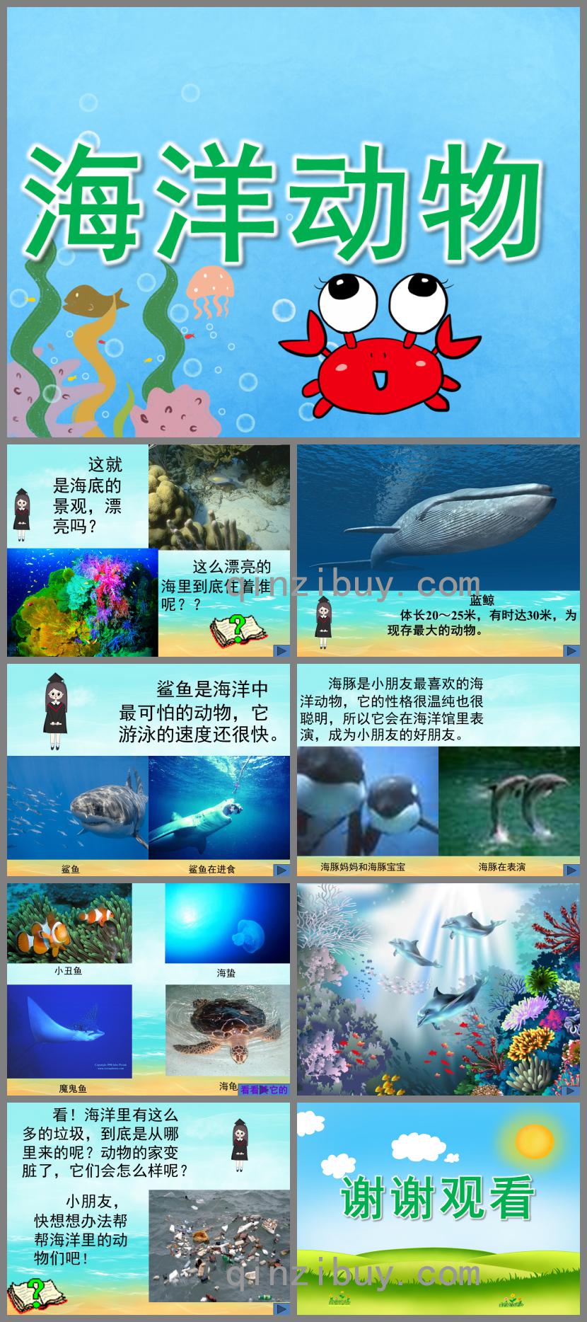 小班科學海洋動物PPT課件