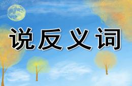小班語言說反義詞PPT課件