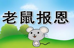 中班社會老鼠報恩PPT課件