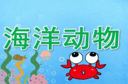 小班科學(xué)海洋動物PPT課件