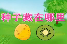 大班科學種子藏在哪里PPT課件