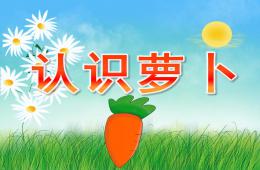 小班科學認識蘿卜PPT課件