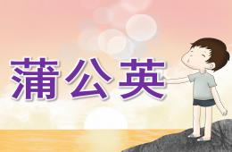 小班美術蒲公英PPT課件