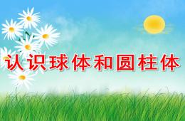 大班數(shù)學(xué)認(rèn)識球體和圓柱體PPT課件