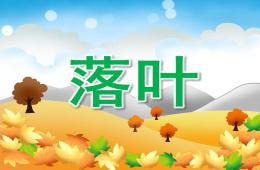 小班音樂兒歌落葉PPT課件