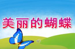 小班科學美麗的蝴蝶PPT課件