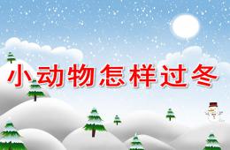 中班科學(xué)小動物怎樣過冬PPT課件