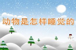 大班說課稿動物是怎樣睡覺的PPT課件