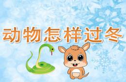 學(xué)前班科學(xué)動物怎樣過冬PPT課件
