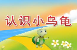小班科學認識小烏龜PPT課件歌曲