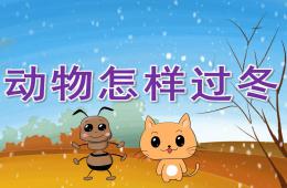 中班科學動物怎樣過冬PPT課件