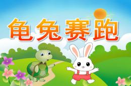 幼兒園龜兔賽跑的故事PPT課件