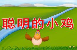 大班語言故事聰明的小雞PPT課件音樂配音