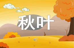 大班音樂秋葉PPT課件歌曲