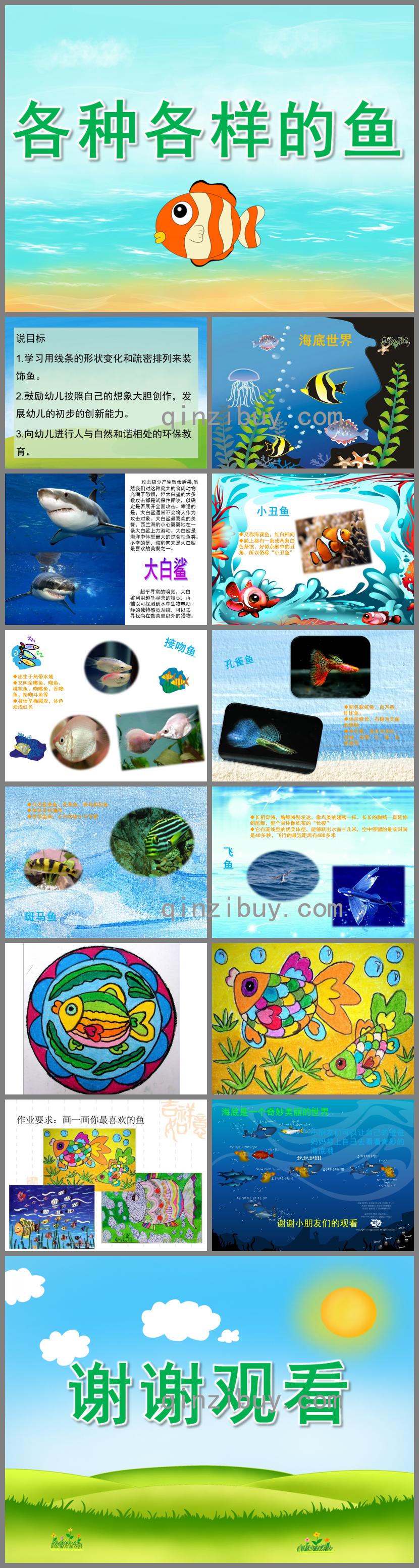 大班美術各種各樣的魚PPT課件