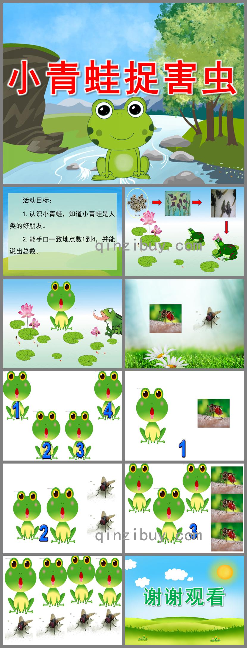 幼兒園數學小青蛙捉害蟲PPT課件