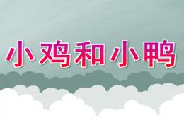 小班科學活動課小雞和小鴨PPT課件