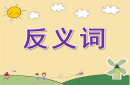 大班語言反義詞PPT課件