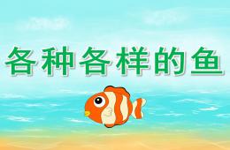 大班美術各種各樣的魚PPT課件