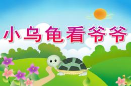 中班小烏龜看爺爺PPT課件配音音樂