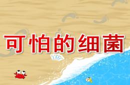 大班科學可怕的細菌PPT課件