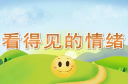 大班看得見的情緒PPT課件