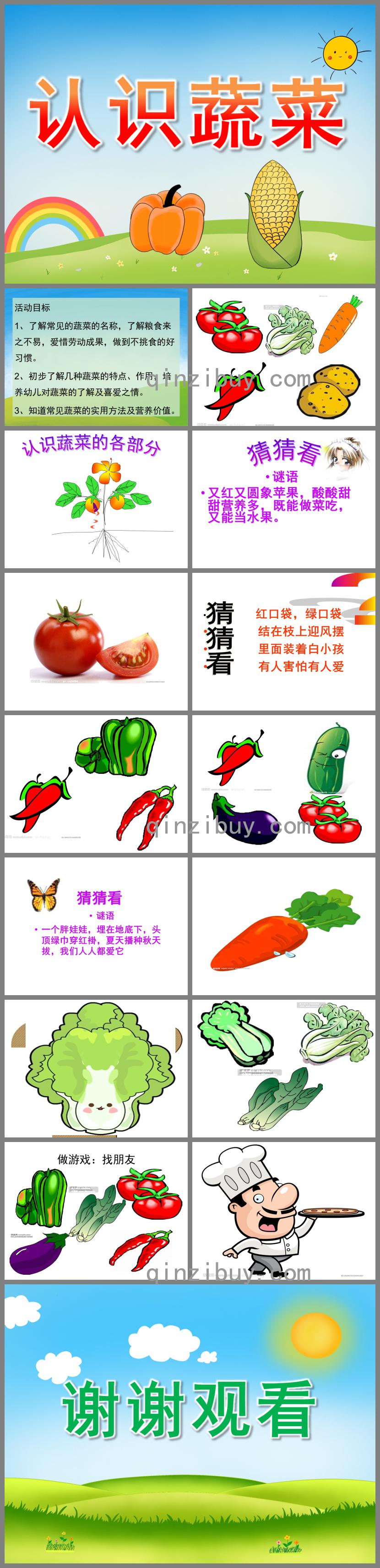 小班科學認識蔬菜PPT課件