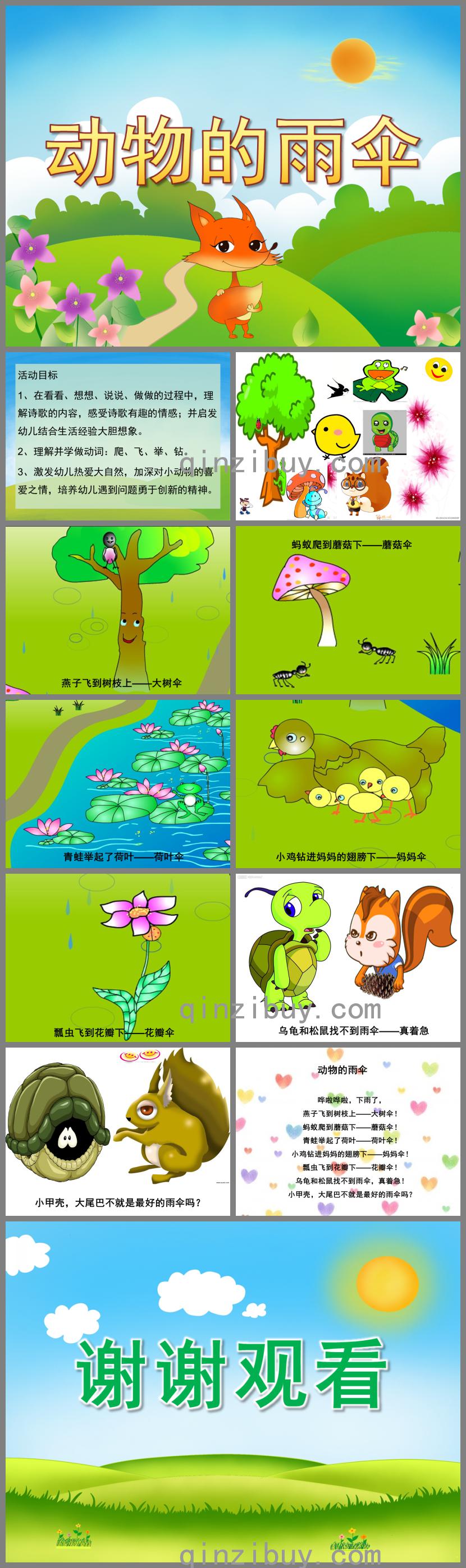 中班語言動物的雨傘PPT課件