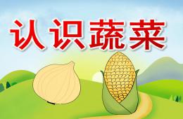 幼兒園認識蔬菜PPT課件