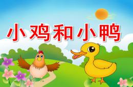 小班科學小雞和小鴨PPT課件
