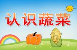 小班科學認識蔬菜PPT課件