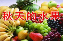 大班語言秋天的水果PPT課件