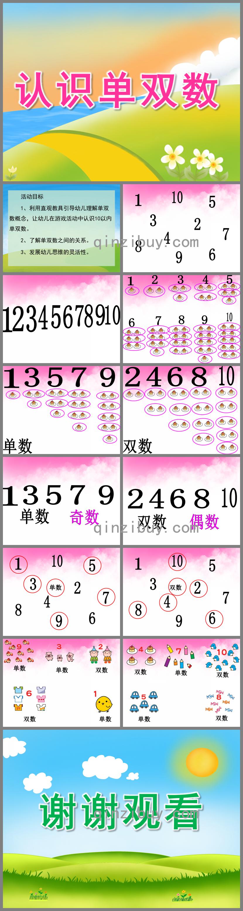 大班數學公開課認識單雙數PPT課件