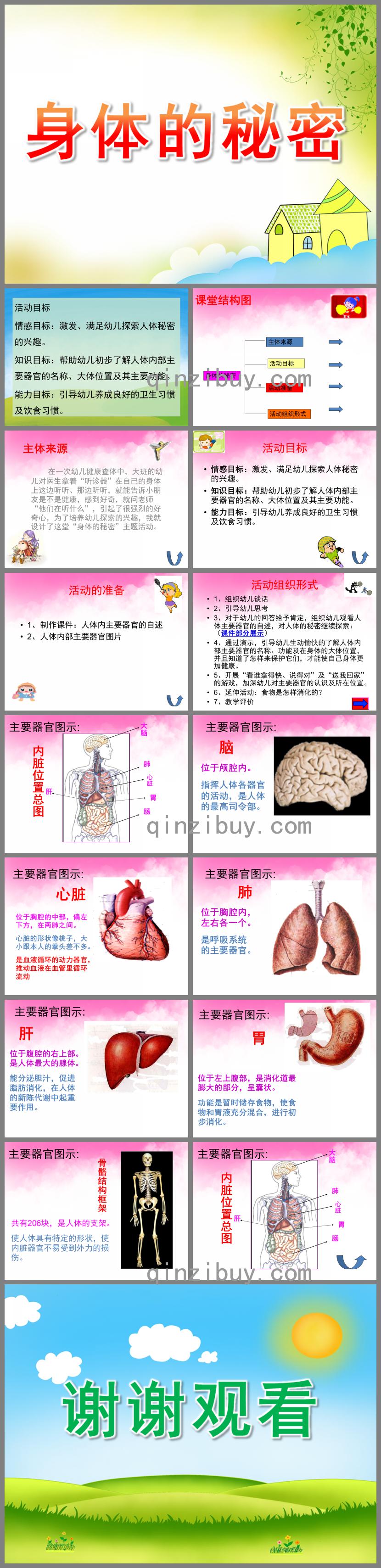 大班科學(xué)身體的秘密PPT課件